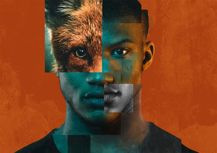 Foxes